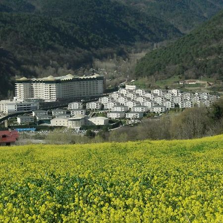 Sarot Thermal Vadi Tatil Koyu - Halal Hotel Bolu Luaran gambar